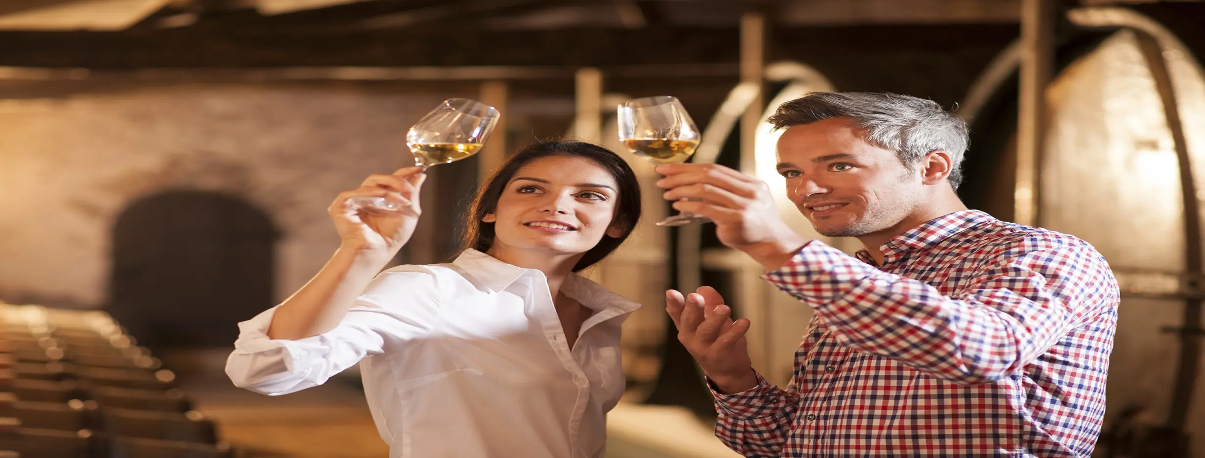 Image for Coastal Wine Trail